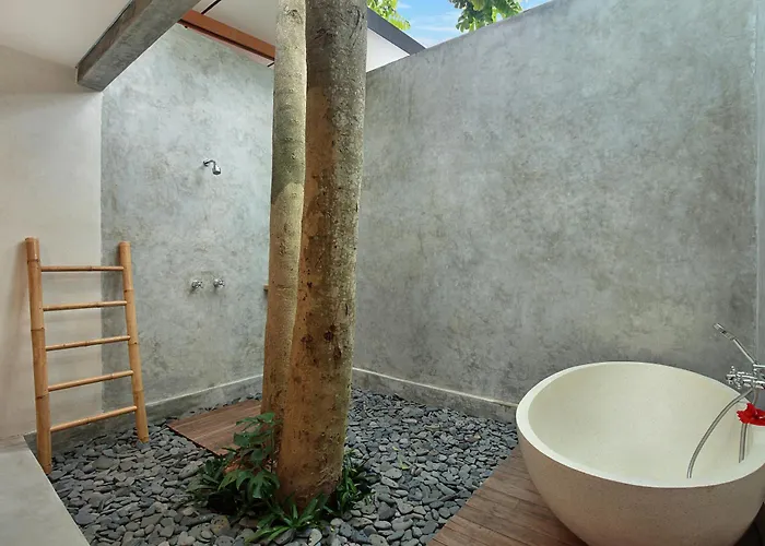 Villa Sativa With Private Pool Ubud (Bali)